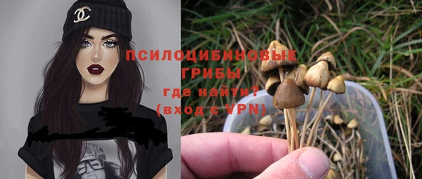 PSILOCYBIN Козельск