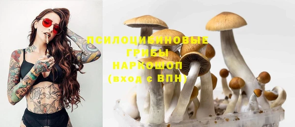 герыч Кодинск