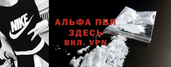PSILOCYBIN Козельск