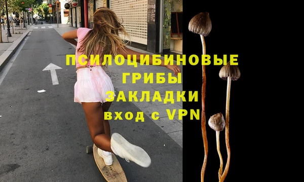 PSILOCYBIN Козельск