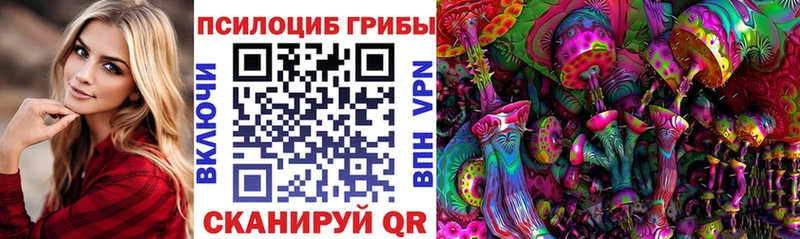 Псилоцибиновые грибы Cubensis  Купить закладки  Валуйки 